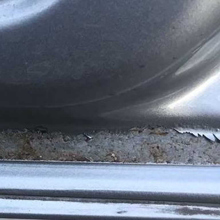 C4 Cactus Kapı Paslanması İçin Geri Çağırma Yok Diyor Ücretsiz Değişim Talebi