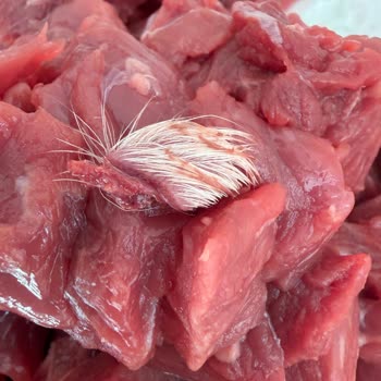 Köfteci Yusuf'tan Kuşbaşı Ette Kıllı Deri Sorunu