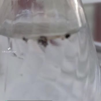 Niğde Gazozu İçinden Sinek Çıktı