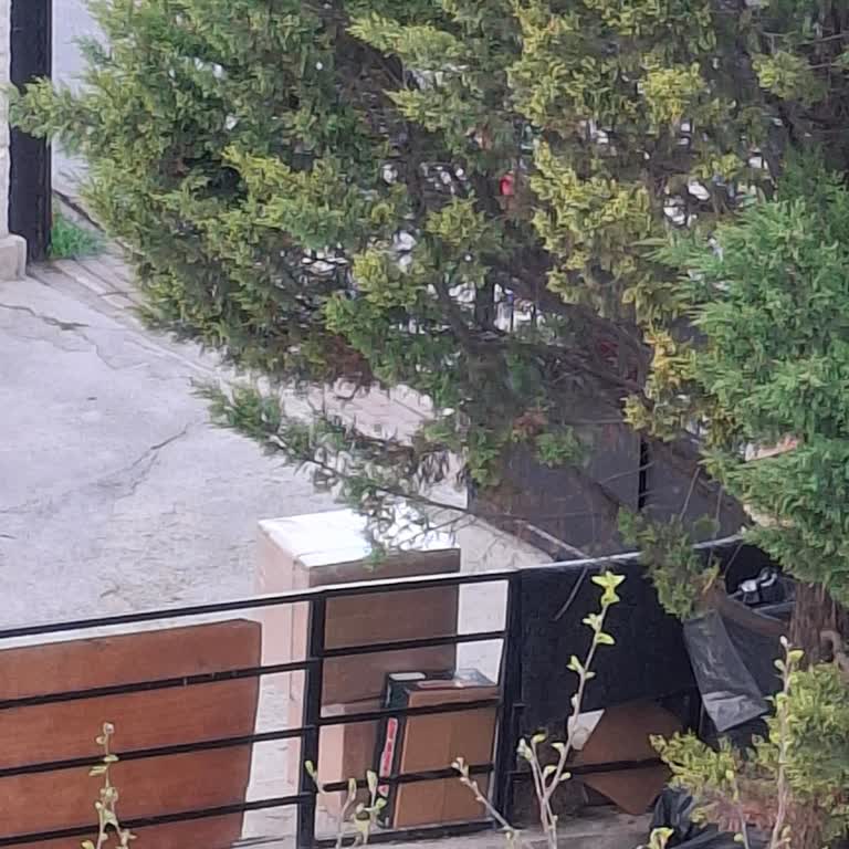 Aras Kargo Teslimatı Kodu Alınmadan Bahçeye Bırakıldı