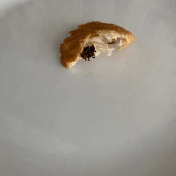 Ekmeğin İçinde Tütün Kalıntısı: Hijyen Ve Denetim Sorunu