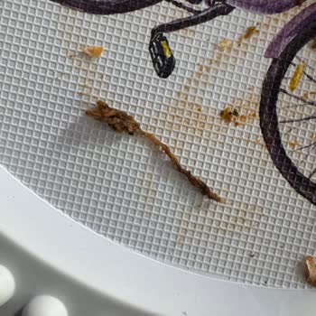 Lahmacun Kalitesiz, Sağlık Endişesi Ve İade Talebi