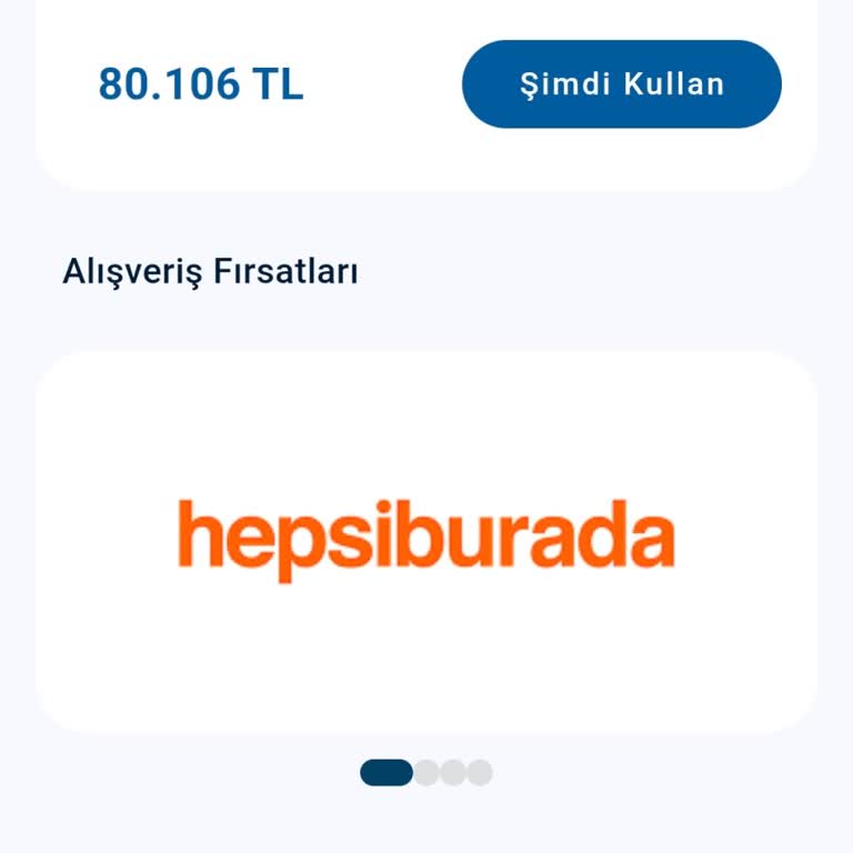 80 Bin TL Limitim Kullanılamıyor Ve Desteklenen Ürün Listesi Yok