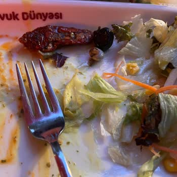 Salata İçindeki Salyangoz: Hijyen Sorunu