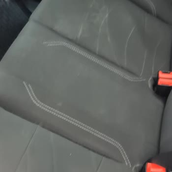Ford Yetkili Servisinde Hatalı Onarım, Uzun Bekleme Ve Kedinin Bıraktığı Kirli Durum