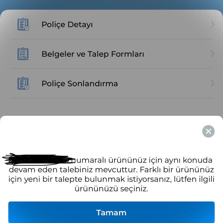 İptal Talebine Yanıt Gelmemesi Ve Geri Ödeme Gecikmesi