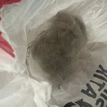 Royal Canin Kedi Maması Kedimde Kusma Ve Tüy Dökülmesine Neden Oldu