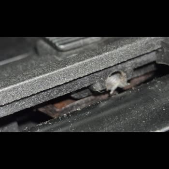 Yeni Tüfeğin Tetik Mekanizmasında Pas Görüntüsü Güvenlik Endişesi Ve Bakım Talebi