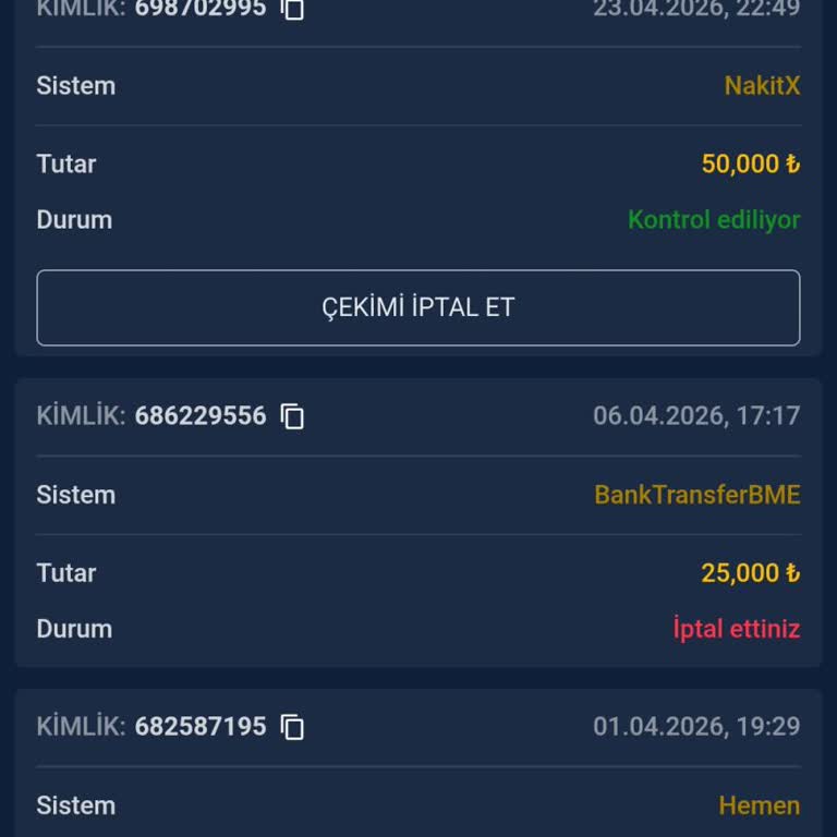 Üç Aylık Banka Havalesi Gecikmesi Sonrası 50 Bin TL Çekim Talebinin Hesaba Aktarılmaması