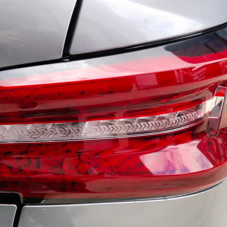 Citroen C4X Stop Lambası Su Alıyor Ve Çözüm Bekliyor