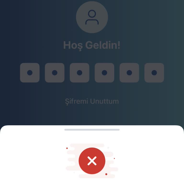 Yetkisiz Telefon Numarası Değişikliği Nedeniyle Hesaba Erişemiyorum
