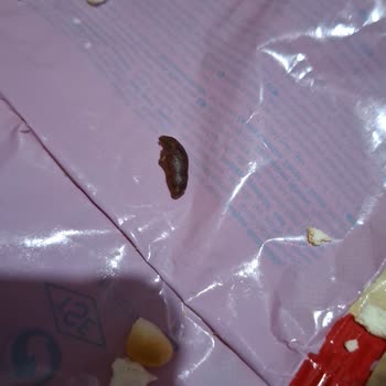Eti Balık Krakerinde Kurumuş Böcek Benzeri Madde Tespiti Ve Sağlık Endişesi