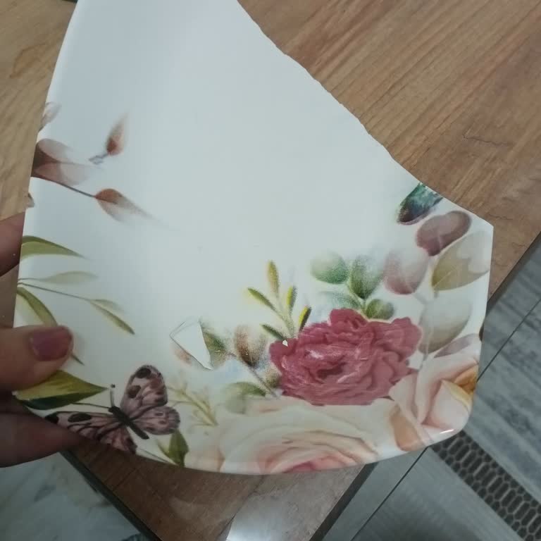 Saygısız Personel Çantamı Yere Fırlattı, Yavru Köpek Bagajda Çaresizce Ağladı