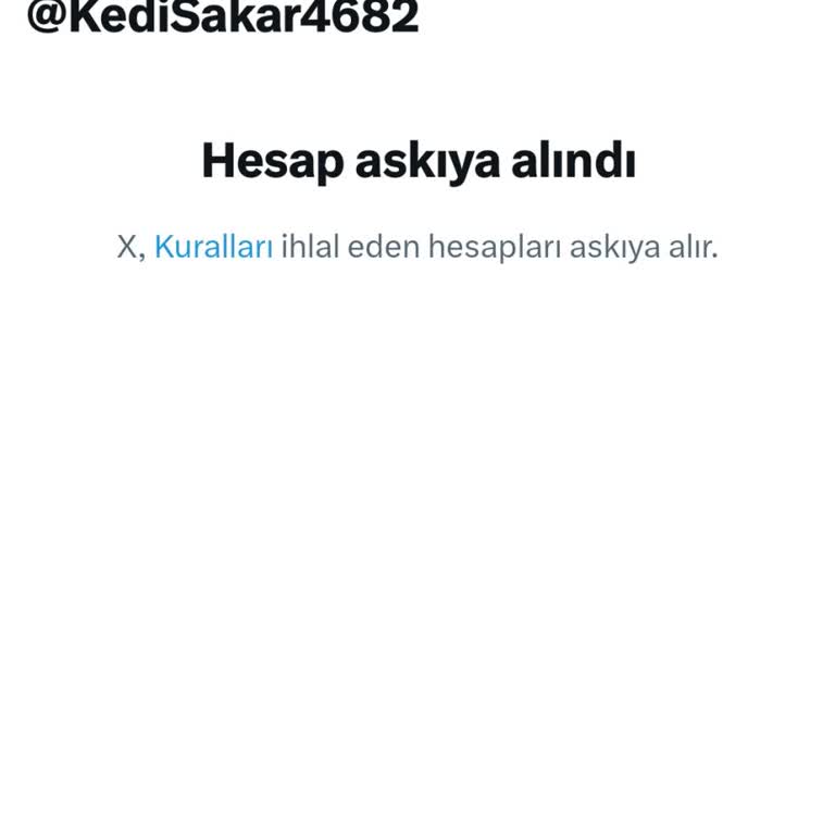 X Platformunda Premium Hesabım Haksız Şekilde Askıya Alındı