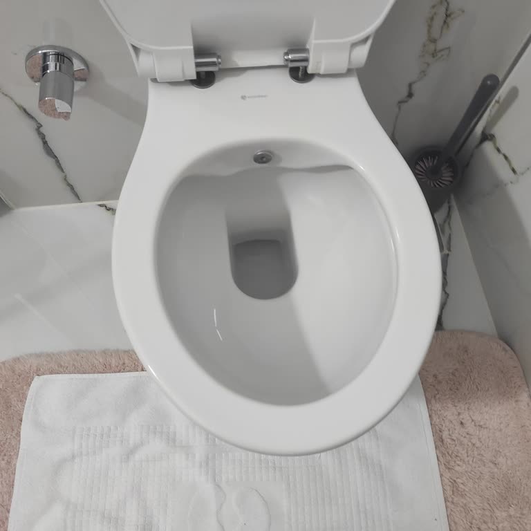 Kanalsız Klozet Sifona Basınca Su Sıçrıyor Ve Hijyen Sorunu
