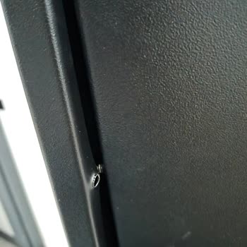 Kırık Ürün Ve İade Erişim Sorunu Nedeniyle Çift Ürün Gönderimi Talebi