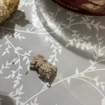Ergül Pekmez Helvanın İçinden Plastik Bir Parça Çıktı