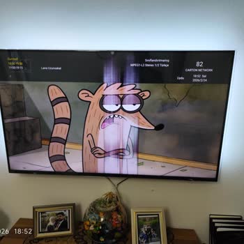 Defective Philips TV Complaint And Repair Request