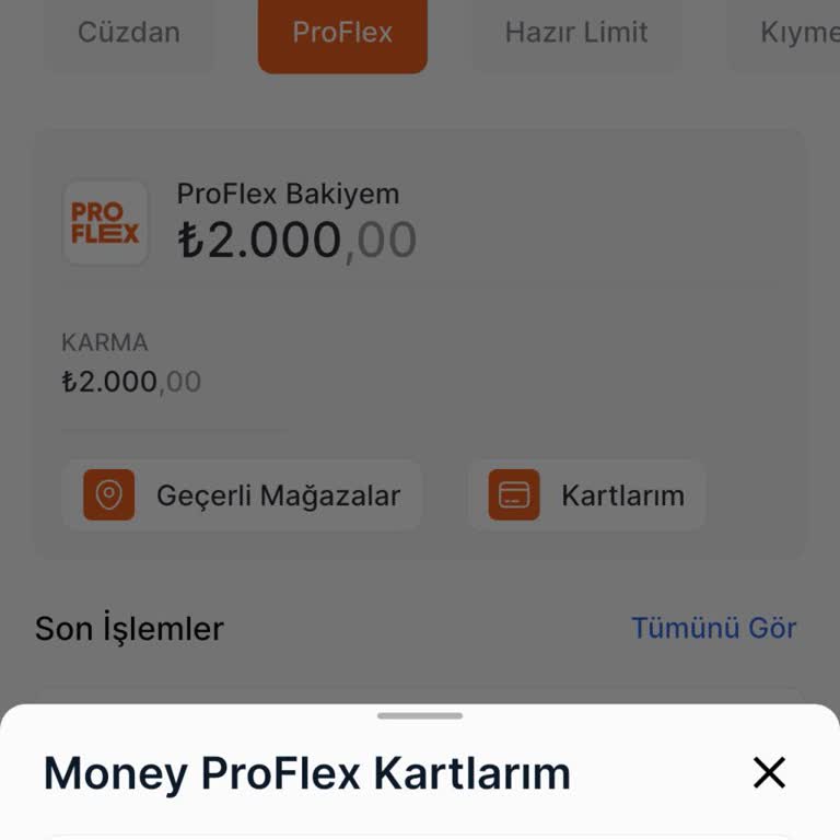 MoneyPay Proflex Sanal Kart Numarası Görünmediği İçin Online Alışveriş Yapılamıyor