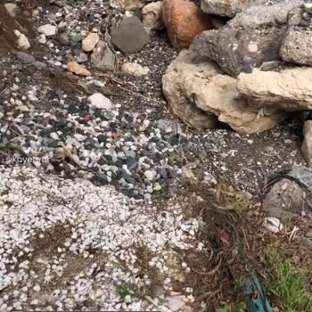 Mezitli Belediyesi Tece Deniz Mahallesi Kıyı Doldurma