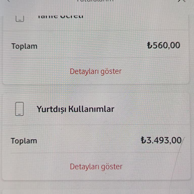 Bilgi Ve Onayım Olmadan Eklenen Her Şey Dahil Pasaport Paketi, 4.080 TL Yüksek Fatura
