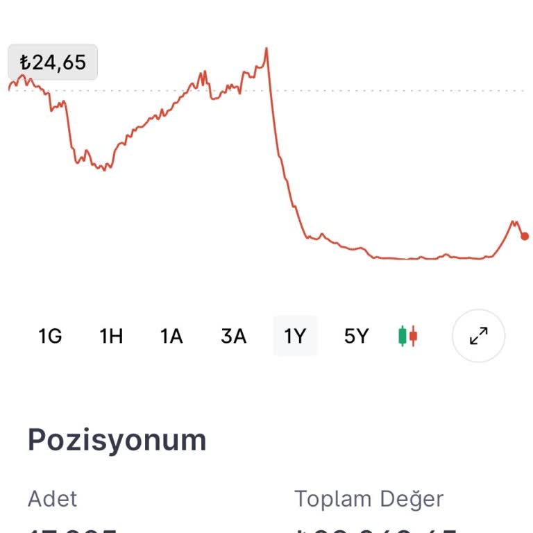 Borlease Otomotiv Hissesinde Manipülasyon Şüphesi Ve Denetim Talebi