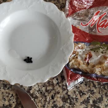 Ekmecik Mantısında Plastik Parça: Sağlık Riski