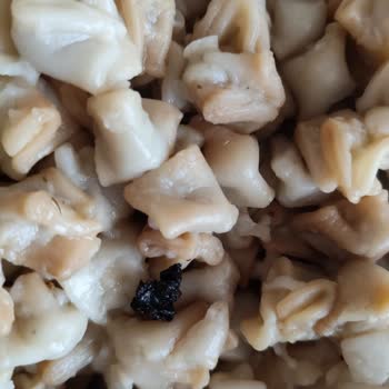 Ekmecik Mantısında Plastik Parça: Sağlık Riski