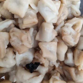 Ekmecik Mantısında Plastik Parça: Sağlık Riski