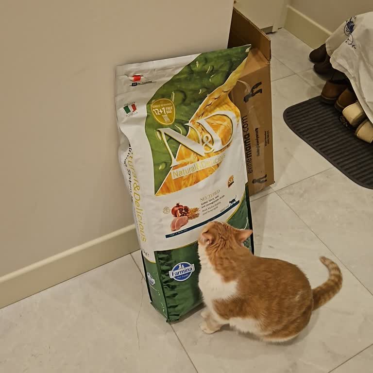 Açık Fermuarlı Paket Nedeniyle Kedi Maması Kokusuz Yemedi İade Talebi