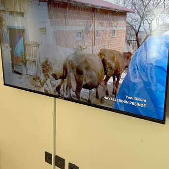 Onvo TV'de İlk Günden Beyaz Lekeler Ve Cevapsız Servis İade Talebi