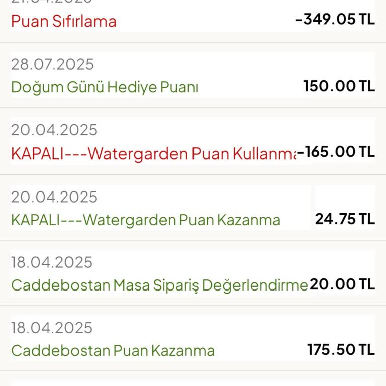 Puanlarım Açıklama Olmadan Silindi, Geri Yüklenmesi Gerekiyor
