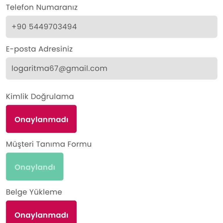 Kimlik Doğrulama Ve NFC Tarama Sorunu Nedeniyle Hesabım Kullanılamıyor