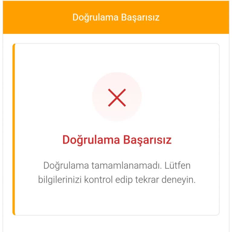 Online İşlemlerde Troy Kredi Kartı Çalışmıyor