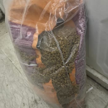 Patlamış Kedi Maması Ve Cevapsız Müşteri Hizmetleri Nedeniyle Ücretsiz Değişim İsteği