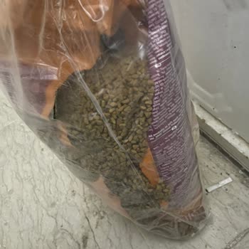 Patlamış Kedi Maması Ve Cevapsız Müşteri Hizmetleri Nedeniyle Ücretsiz Değişim İsteği