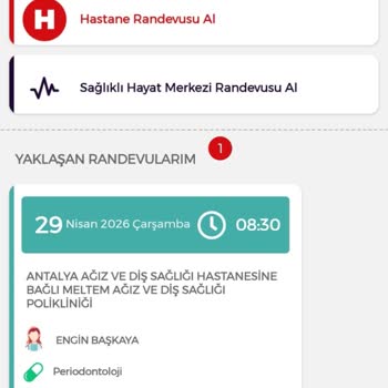 Kamu Sağlık Kurumunda Hekim Davranışı Şikayetiyesi
