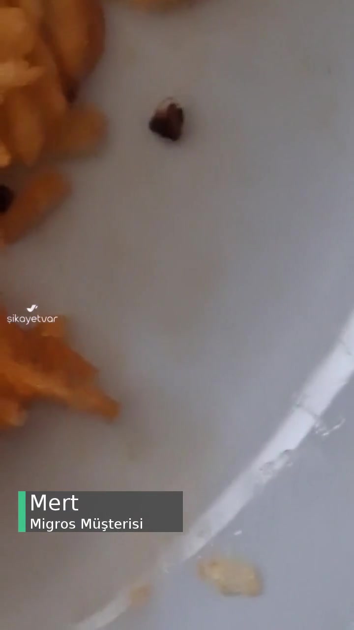 Migros Ketçap Aromalı Cipsin İçinden Böcek Çıktı! videonun kapak resmi