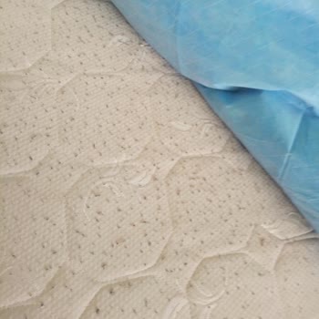 Elissa Home Concept Aldığım Yatak Tamamen Tüylenme Yaptı