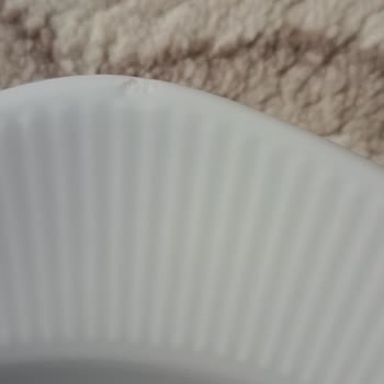 Hasarlı Pasta Ve Yemek Tabağı İçin Ücretsiz Değişim Talebi