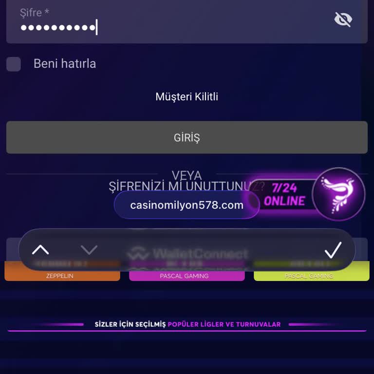 Şikayetimi Paylaştıktan Sonra Hesabım Gerekçesiz Kapatıldı Ve 40 Gün Erişilemiyor