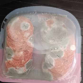 Küflü Ürün Teslimatı Ve Çözüm Sunulmaması