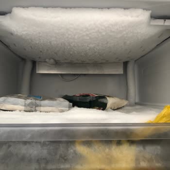 Aşırı Karlanma Kapak Kırılmasına Neden Oldu, No-Frost Değişim Talebi