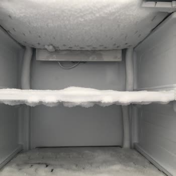 Aşırı Karlanma Kapak Kırılmasına Neden Oldu, No-Frost Değişim Talebi