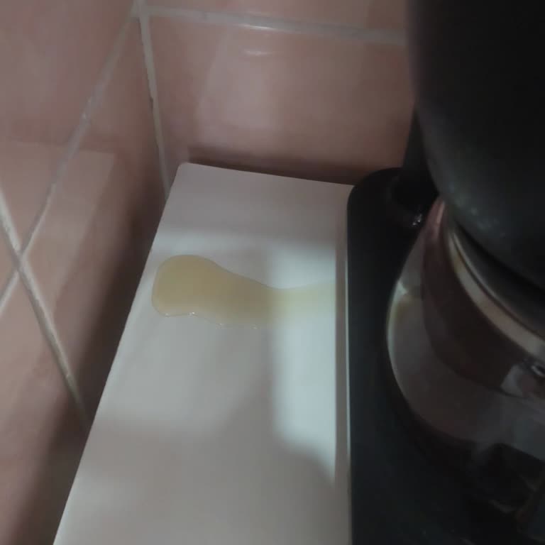 Kronik Sızıntı Sorunu Ve Çözülmeyen Servis Süreci Nedeniyle Ürün Değişimi Veya İade Talebi