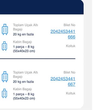 Ajet Hava Yolları Bilgilendirme Eksikliği Ve Check‑In Sorunu