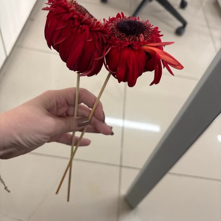 Kalitesiz Plastik Vazo Ve Eksik Çiçekler Nedeniyle Hayal Kırıklığı