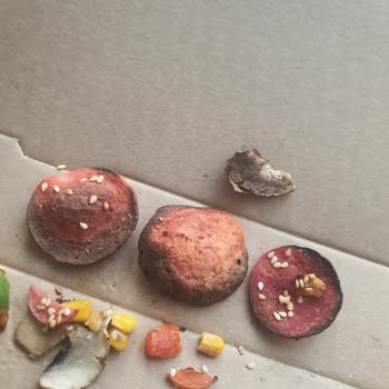 Soğuk, Dağınık Ve Yanık Pizza Şikayetim