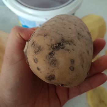 Şehzade Market’te Çürük Ürünler Ve Saygısız Hizmet Nedeniyle İade Talebi