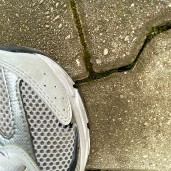 Ayakkabının File Açılması Ve Fatura Yokluğu Nedeniyle Çözüm Talebi